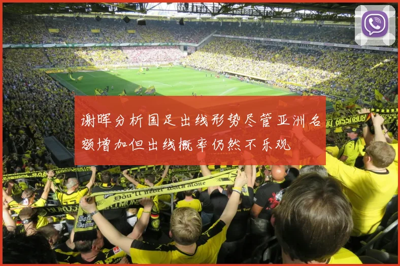 谢晖分析国足出线形势尽管亚洲名额增加但出线概率仍然不乐观